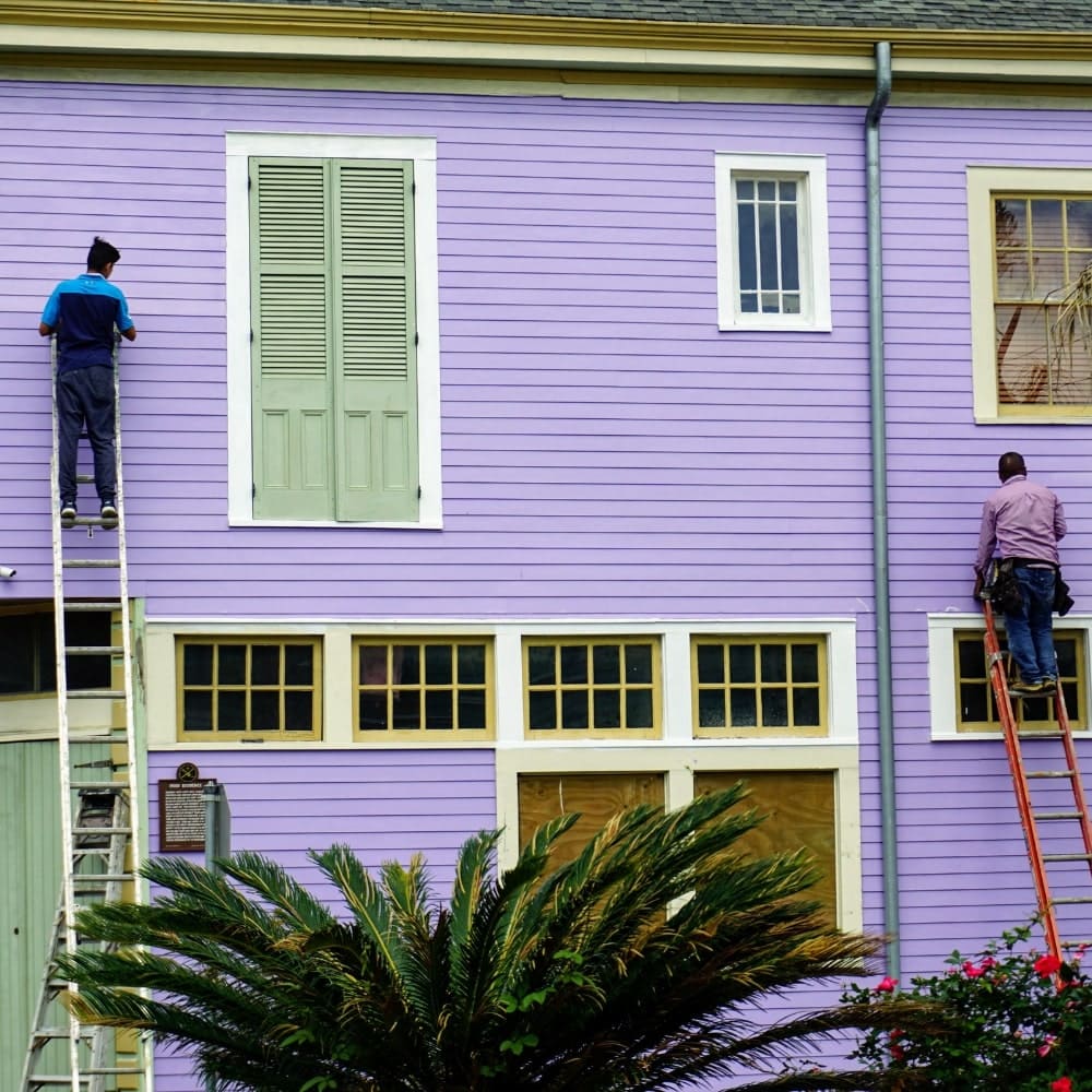 Professional Painting Team